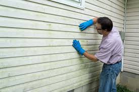 Best Historical Building Siding Restoration  in Haines, AK